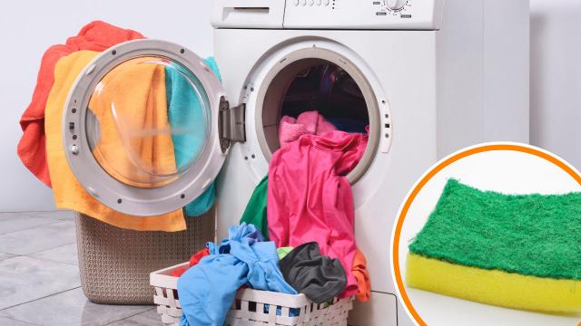 O truque para lavar roupas com muitos pelos está na sua cozinha: uma simples esponja de louça