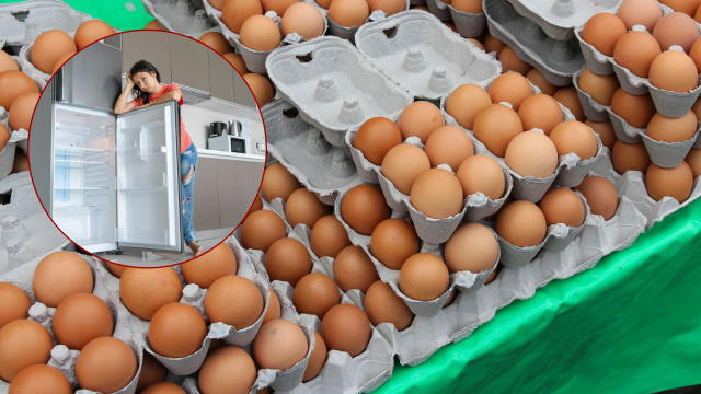 O ovo não é guardado nas geladeiras dos mercados, mas deve ser na sua casa e aqui está o motivo!