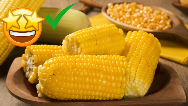 Benefícios do milho: entenda o impacto desse ingrediente na saúde e qual é a melhor forma de consumi-lo
