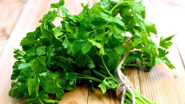 Transforme o sabor dos seus pratos com esse ingrediente e aprenda a armazenar do jeito certo para que dure até 3 meses