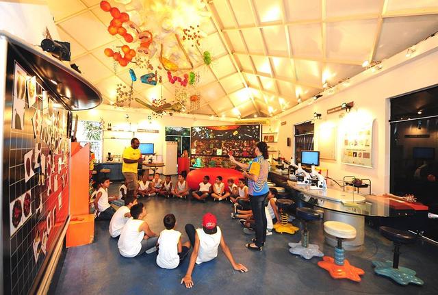 Dia das Crianças no Museu da Vida Fiocruz terá atividades educativas, exposições, teatro, música e mais