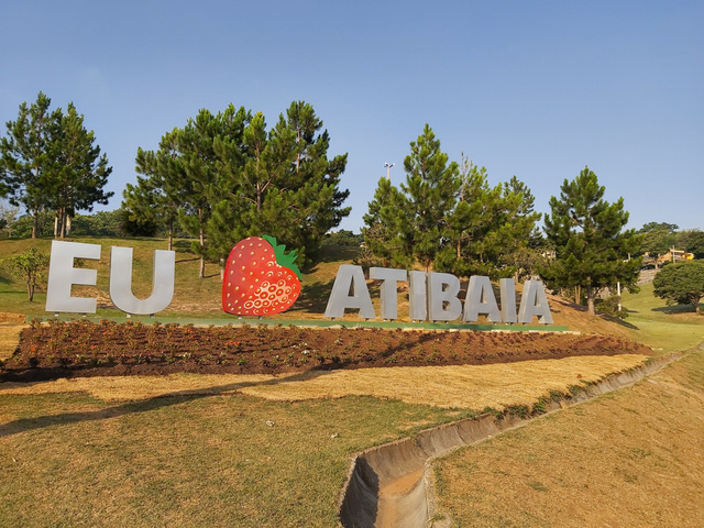 Atibaia é considerada a capital do morango desde 2022. (Crédito: Shutterstock)