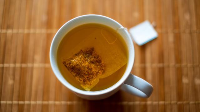 O que acontece se você tomar chá de orégano todos os dias: entenda benefícios, efeitos colaterais e saiba como fazer a infusão