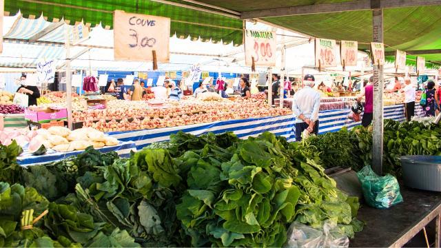 Pouca gente sabe: o vegetal mais saudável do mundo vende na feira e é bem barato, mas todo mundo esquece dele