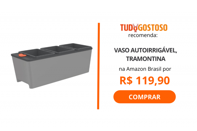 Horta em casa: Veja 5 itens para ter uma horta interna e cultivar seus próprios temperos