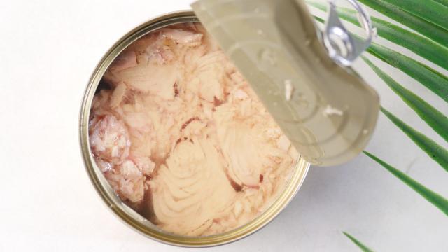 Contaminação de atum enlatado por alto nível de mercúrio preocupa ONGs, mas qual é a solução para a população?