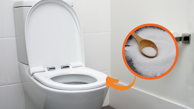 É obrigatório colocar sal grosso nos vasos sanitários todas as noites na minha casa e aqui está por quê
