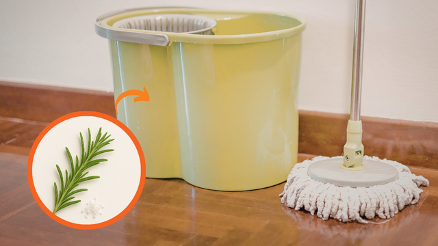 O truque com ramos de alecrim no balde de limpeza que perfuma a casa por horas