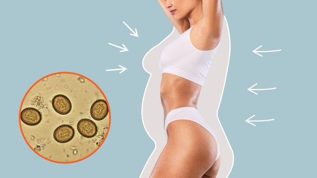 Ovos de tênia para emagrecer é a nova dieta bizarra que está viralizando, mas os riscos podem ser fatais!