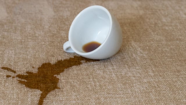 Nem precisa de produtos caros: o TudoGostoso mostra como agir rápido contra manchas de café no sofá