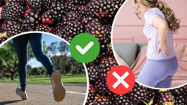 Ouro violeta: a fruta que gera colágeno, fortalece os ossos e acaba com todas as dores