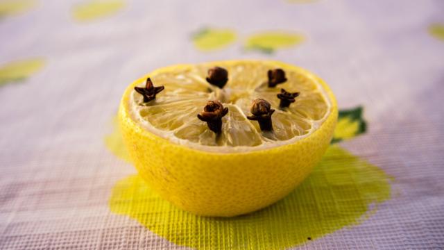 Nada de moscas na sua casa: truque com fruta afasta todos os insetos