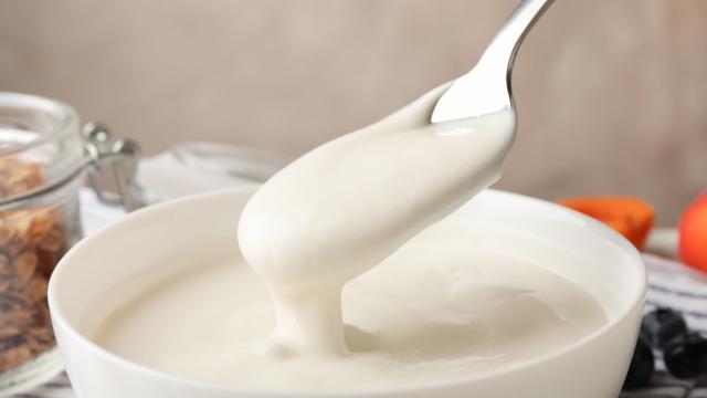 O iogurte natural é uma excelente fonte de cálcio e vitamina D (Créditos: Shutterstock)