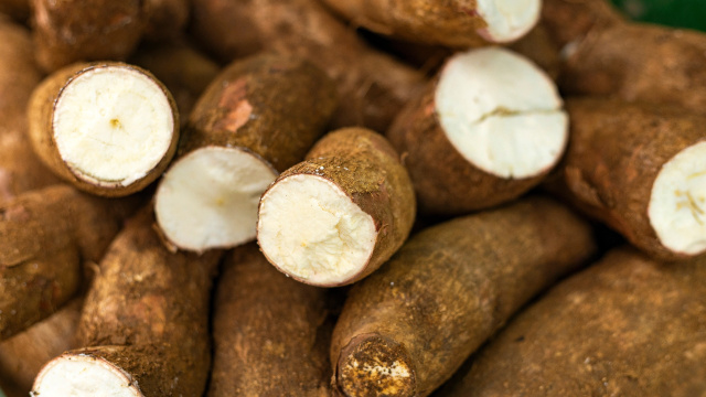 Nem frita, nem na manteiga: o melhor jeito de comer mandioca e aproveitar os benefícios