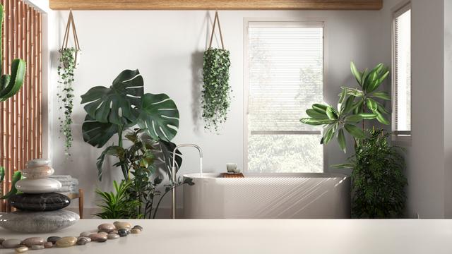 13 plantas que adoram umidade e são perfeitas para decorar o seu banheiro