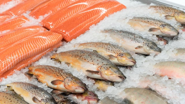Ingredientes selecionados e culinária típica para manter o foco durante o torneio. (Foto: Shutterstock)