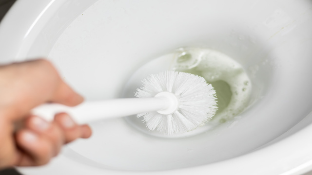 Adeus cheiro de esgoto no seu vaso sanitário: a solução certa para ter um banheiro impecável