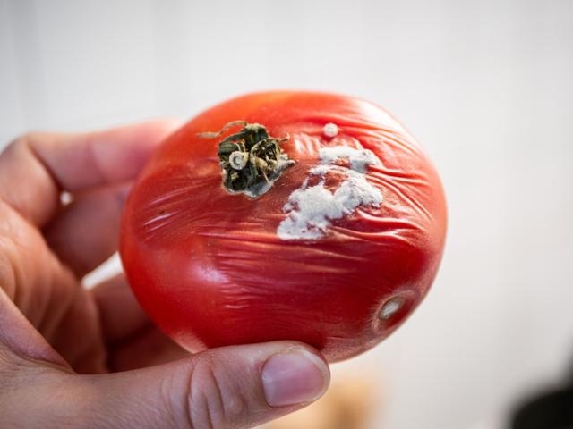 O que acontece se eu comer a 'parte boa' de uma fruta com pontinhos de mofo?