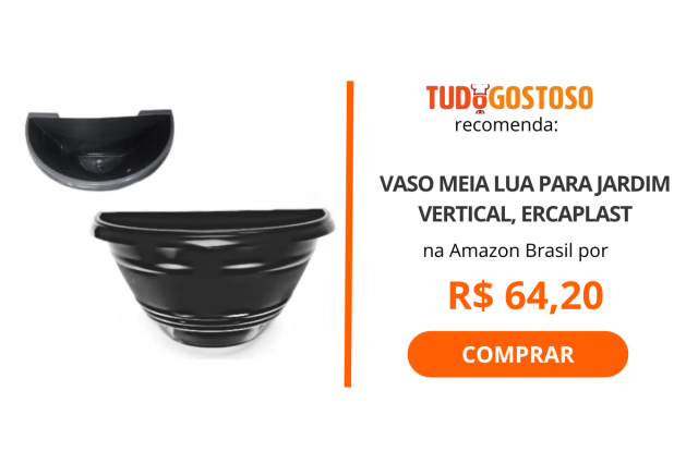 Horta em casa: Veja 5 itens para ter uma horta interna e cultivar seus próprios temperos