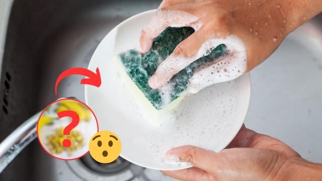 Economia na limpeza: faça esse truque simples para o seu detergente render três vezes mais