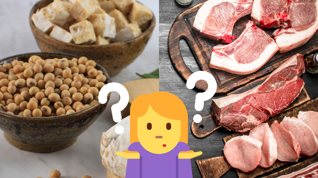 Carne ou soja texturizada: qual tem mais proteína? Saiba benefícios essenciais para o corpo desse grão presente nas dietas vegana e vegetariana