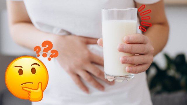 Leite inflama e eu trago a pessoa amada em três dias: entenda argumento de nutricionista baseado na ciência