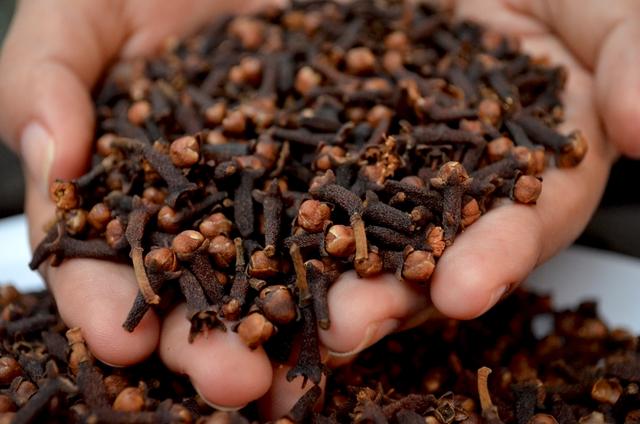Cravo-da-índia não é só pra canjica! Ingrediente é bom como repelente e até antisséptico bucal