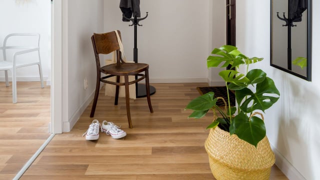 Esses são os truques para colocar plantas no corredor da sua casa mesmo que ele não tenha luz direta