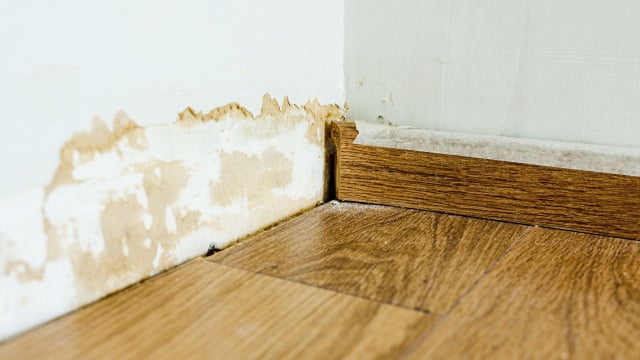 Não sabe o que fazer com a parede de casa cheia de umidade? Especialista explica o passo a passo para resolver o problema, e não é só pintar!