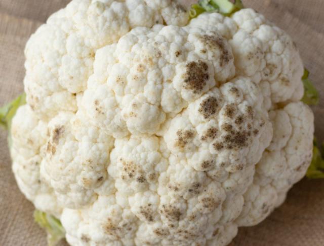 Couve-flor com pontinhos pretos: é seguro comer o vegetal mesmo assim?