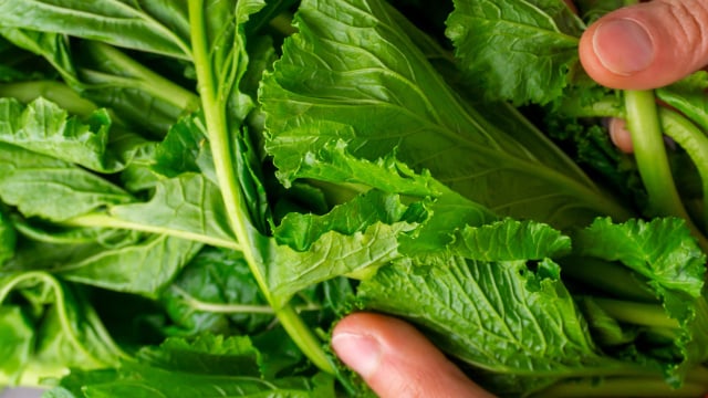 Só alguns brasileiros comem isso, mas é um vegetal muito melhor do que o espinafre e a acelga