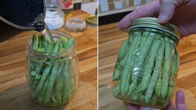 Picles de vagem é meu novo petisco favorito: é fácil de fazer e como ele puro mesmo