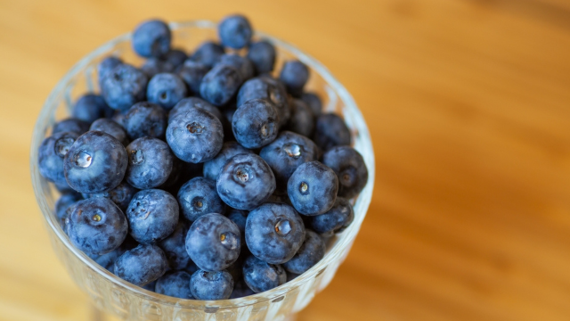 Plantar blueberry sai muito mais barato que comprar no mercado: aprenda a como cultivar essa fruta de forma simples