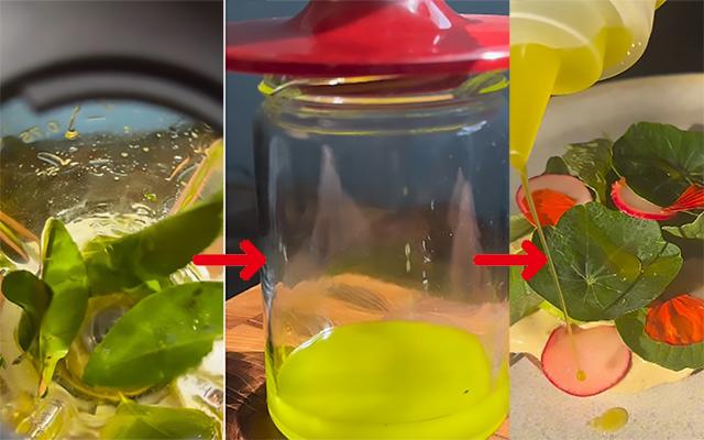 Como usar folhas de limão para fazer um óleo incrível para ser o ingrediente surpresa nas suas receitas