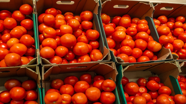 David Guibert, chef: "Se o tomate estiver com a cor uniforme e fizer uma leve marca ao apertar, guarde-o com o lado de baixo para baixo"