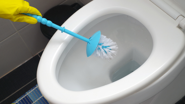 Nem sabão, nem desinfetante: essa é a melhor mistura caseira para o vaso sanitário ficar brilhando e perfumado por vários dias