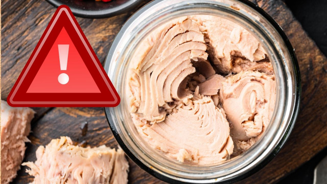 Adeus ao atum enlatado: essas são as pessoas que devem eliminar o peixe da dieta agora, segundo revista médica