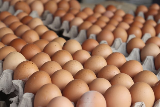 Os produtores de ovos acabaram sendo vítimas do próprio sucesso, passando da glória à crise em questão de meses