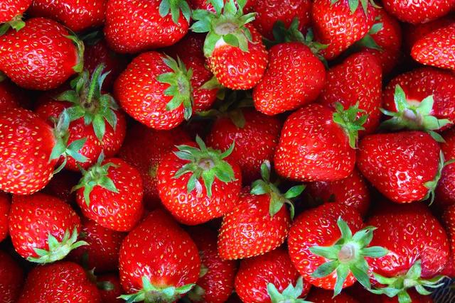 Essa é a quantidade de morango que você precisa comer para melhorar a memória e reduzir risco de demência, diz novo estudo
