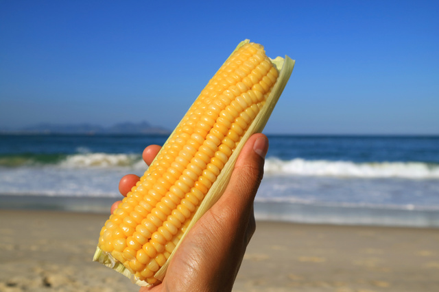 Receita de milho de praia fácil em 5 minutos para fazer em casa e economizar