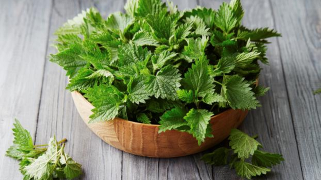 Mais rico em vitamina C do que as laranjas e mais rico em ferro do que o espinafre, esse alimento é ideal para aumentar seus níveis de energia