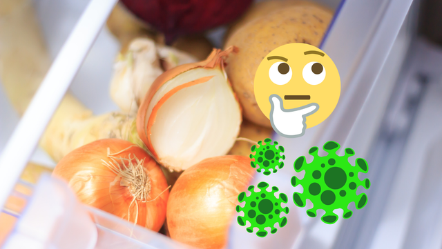 Lenda da vovó: cebola cortada ao meio na geladeira ‘chupa’ bactérias? Especialista responde!