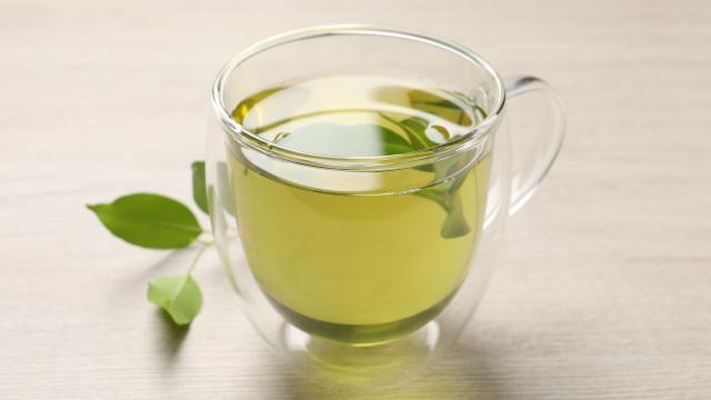 Precisa de uma boa noite de sono? Esse é o chá que promete um sono reparador e ainda ajuda na concentração ao longo do dia