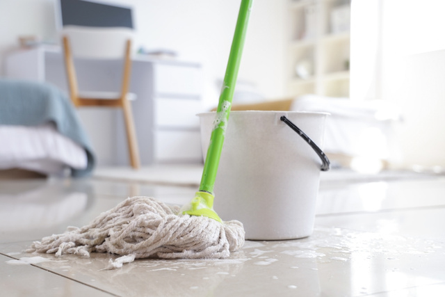 O que aconteceu com a casa dessa mulher depois que ela começou a colocar sal no balde de água para limpar o chão?