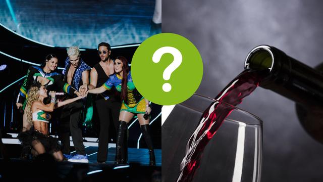 Vinho com toque Rebelde! Saiba qual integrante do RBD investiu em linha de vinhos já disponível no Brasil