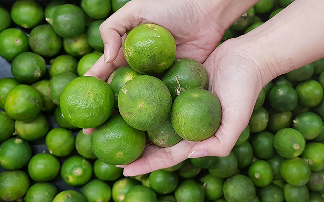 Aprendi um truque que deixa o limão fresquinho por semanas, sem murchar ou ressecar, nem perder o sabor