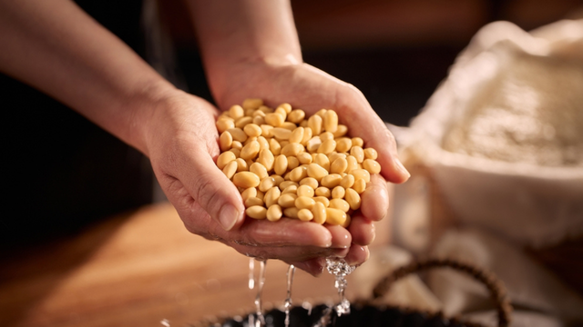 O grão barato que tem mais proteína que a carne e você deveria comer todo dia