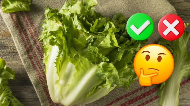 Descubra os benefícios e malefícios da escarola e qual é a melhor forma de comer o vegetal para aproveitar bem seus nutrientes