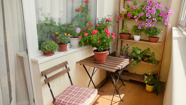 4 plantas que conseguem dar um toque especial na varanda de qualquer apartamento