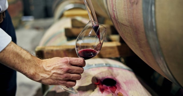“Invista em cerejas, pistaches, crie gado”: ​​em uma província, produtores estão abandonando o vinho e mudando de ramo de atividade